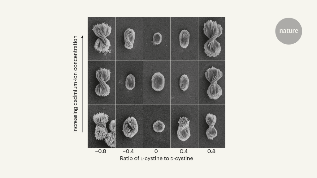 Tunable twist in bow-tie particles.