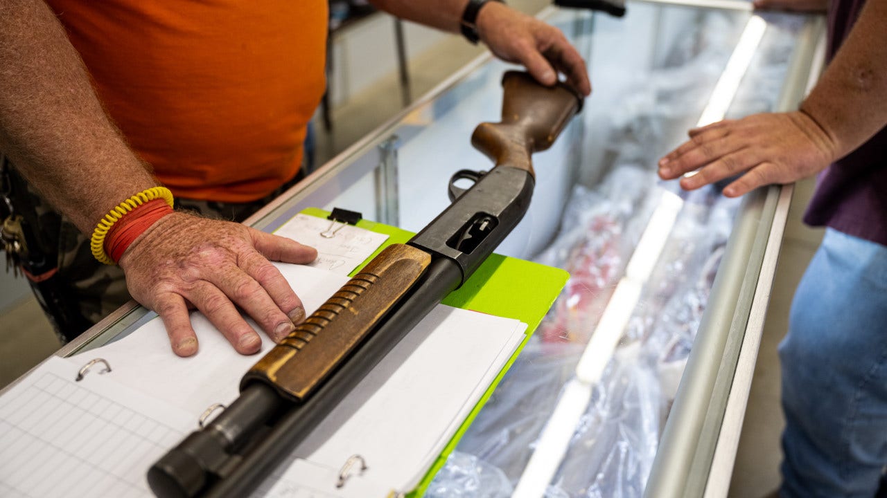 Minnesota Senate Approves Major Gun Control Measures and 'Red Flag Law'