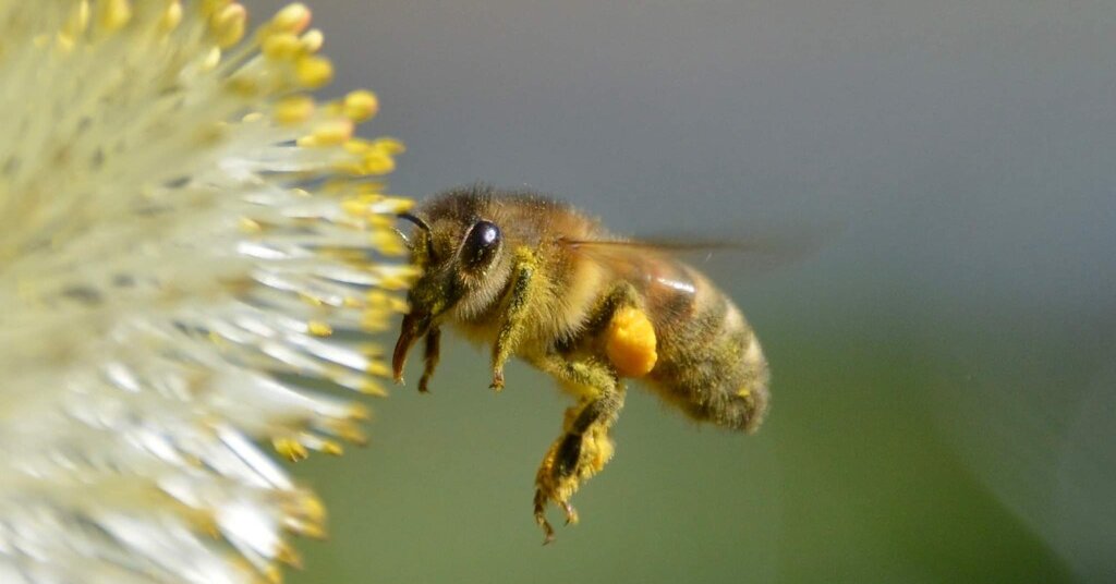 Featured image for "Winning Words: Spelling Bee Answers - February 12, 2024"