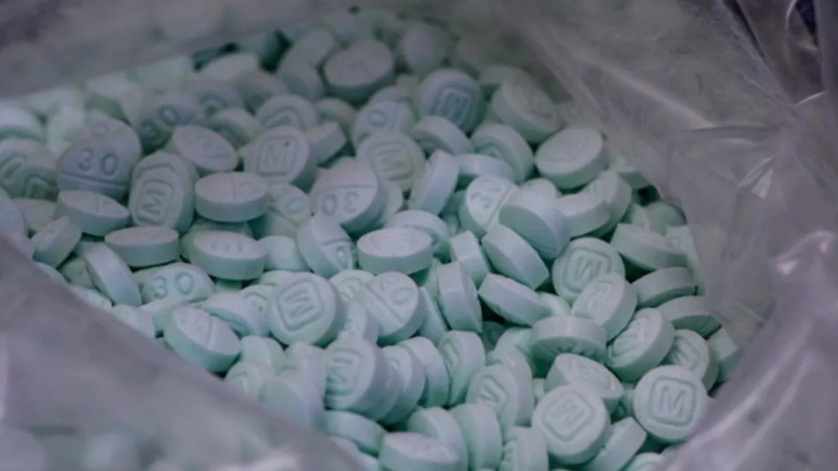 "1 in 3 Americans Affected by Drug Overdose Loss, Study Reveals"