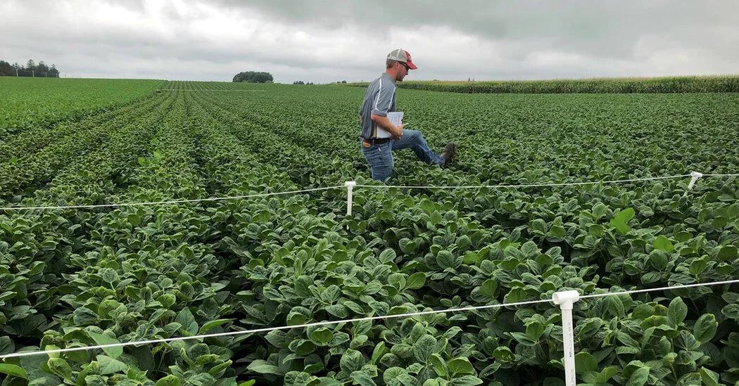 EPA Re-approves Dicamba, Triggering MAHA and Environmental Backlash