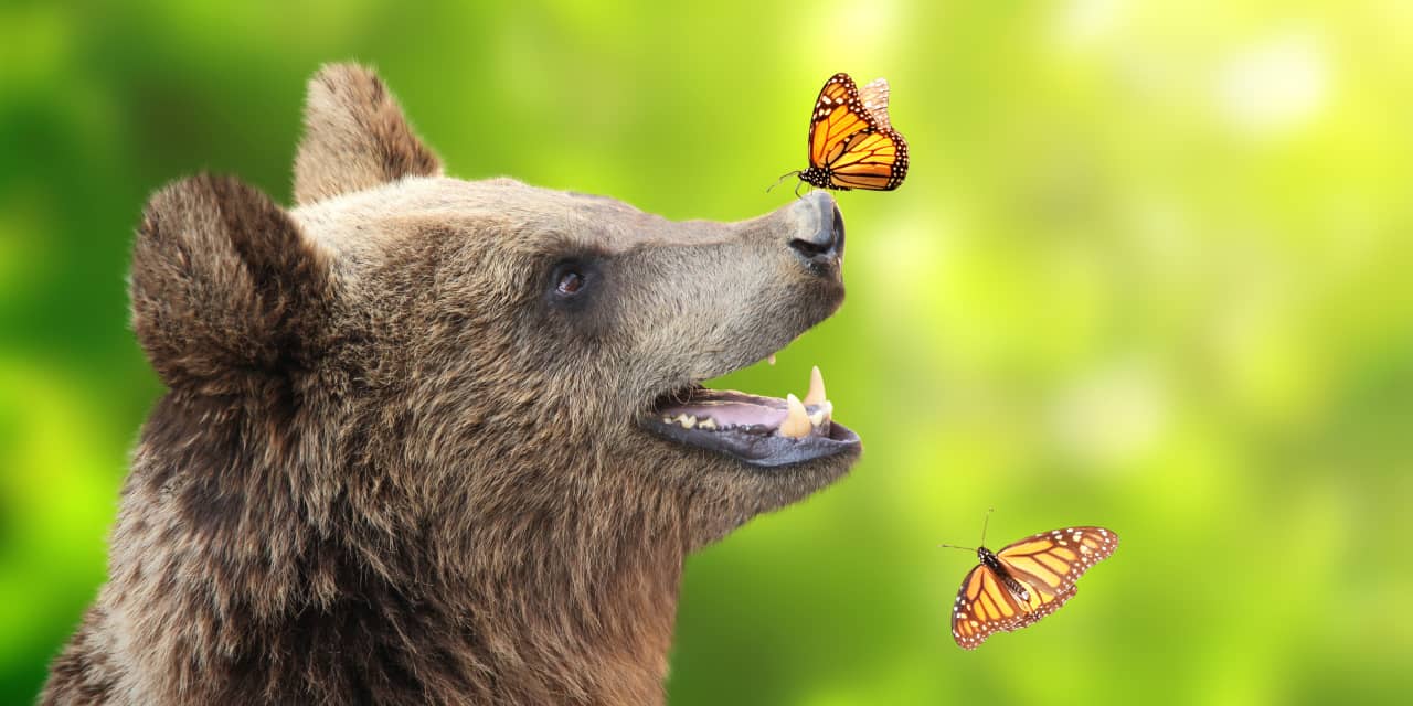 Featured image for Fund Managers Turn Bullish, Erasing Buy Signal: Bank of America