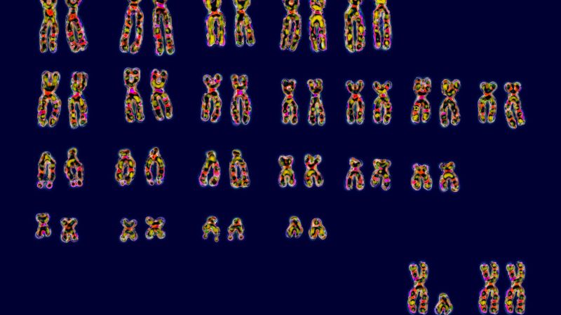 "Uncovering the X Factor: Exploring Why Women Are More Susceptible to Autoimmune Diseases"