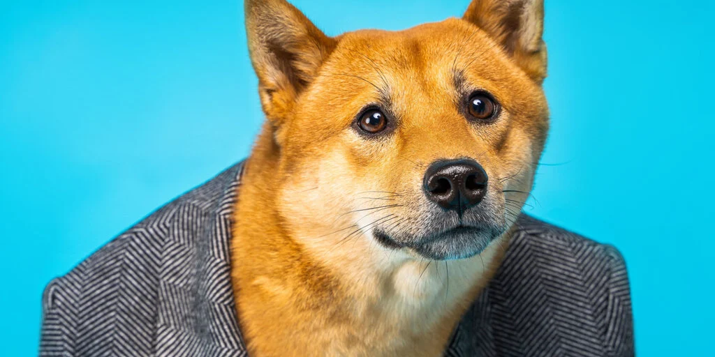 Dogecoin Soars: Traders Hedge as Elon Musk Fuels Rally