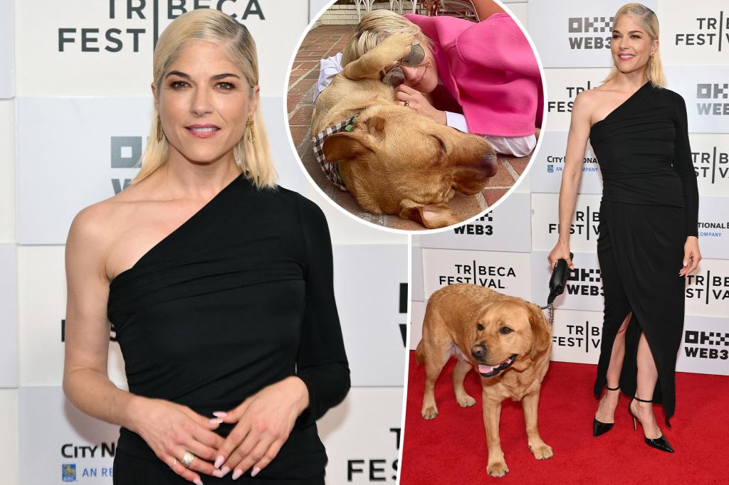 Featured image for Selma Blair and Service Dog Scout Shine at Tribeca Film Festival