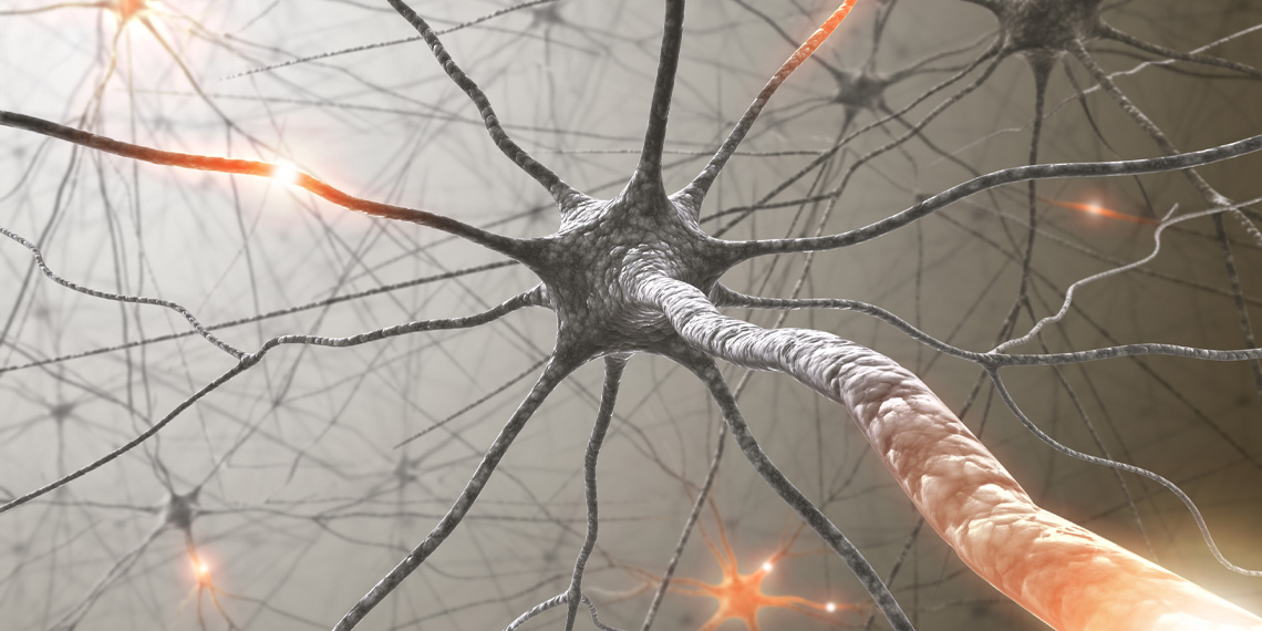 "Neuroscientists Create Mesmerizing 'Brain Movies' and Music from Activity Data"