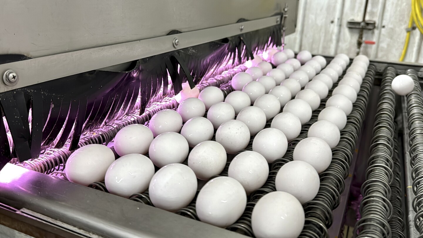 Featured image for "Norwegians Stockpile Swedish Eggs Amid Easter Shortage"