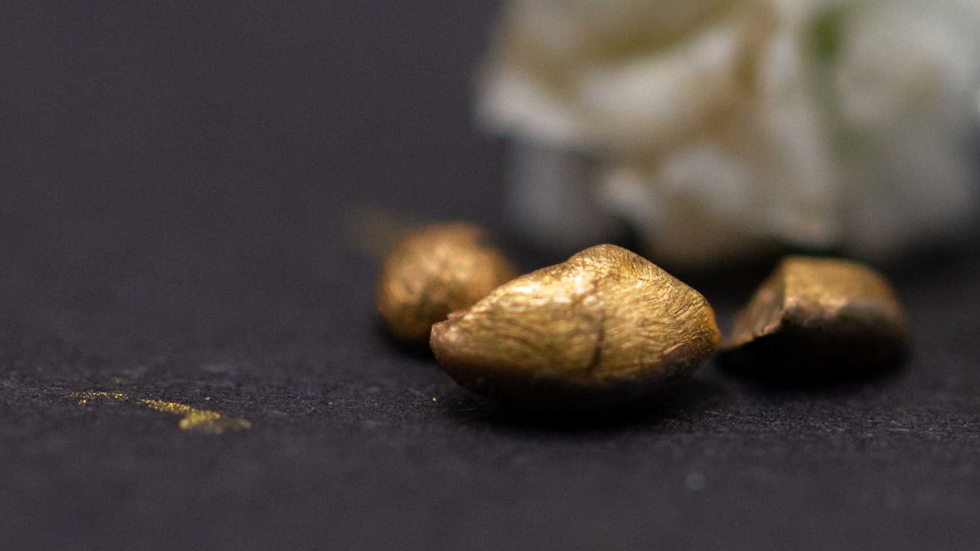 Featured image for "Revolutionary Method Uses Food Waste Byproduct to Extract Gold Sustainably"