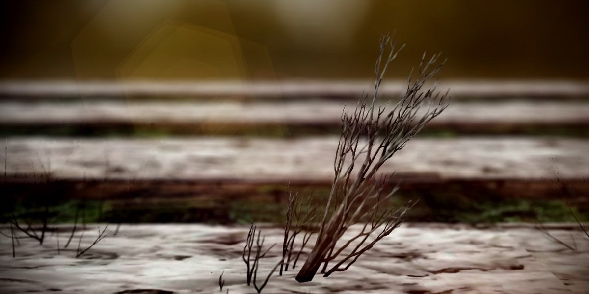 Tragedy strikes as 9-year-old drowns while tubing in Boulder Creek.