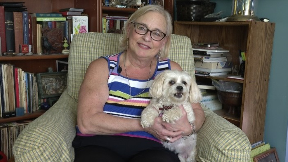 Featured image for Stolen Dogs Reunited with Owners in Traverse City and Albuquerque