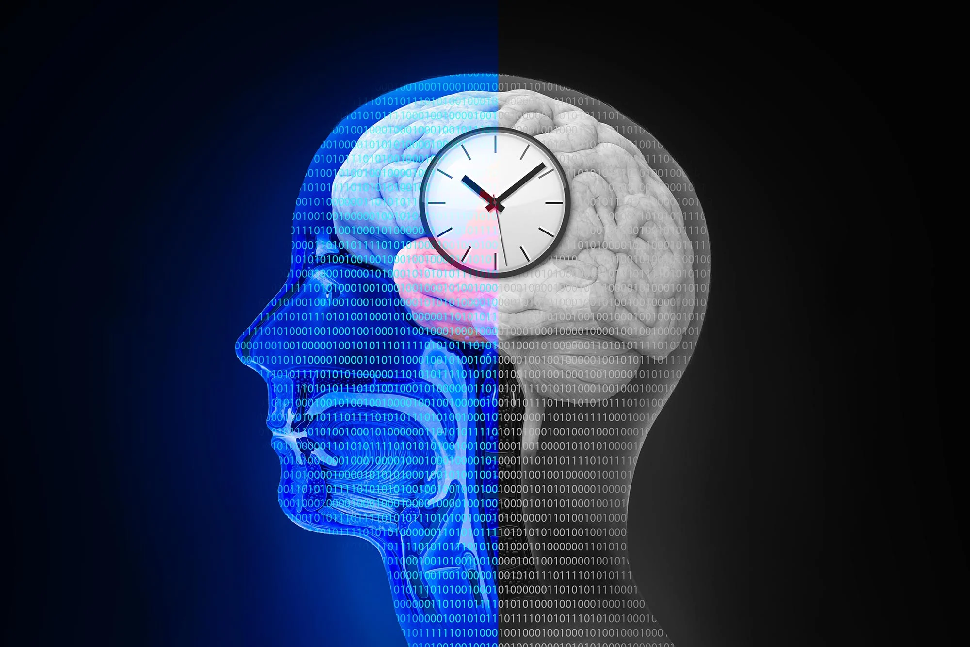 Featured image for Intermittent Fasting and Brain Health: Benefits and Myths
