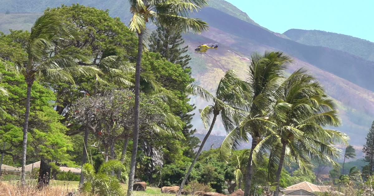Multiple Brush Fires Spark Evacuations in West Maui; Power Restored