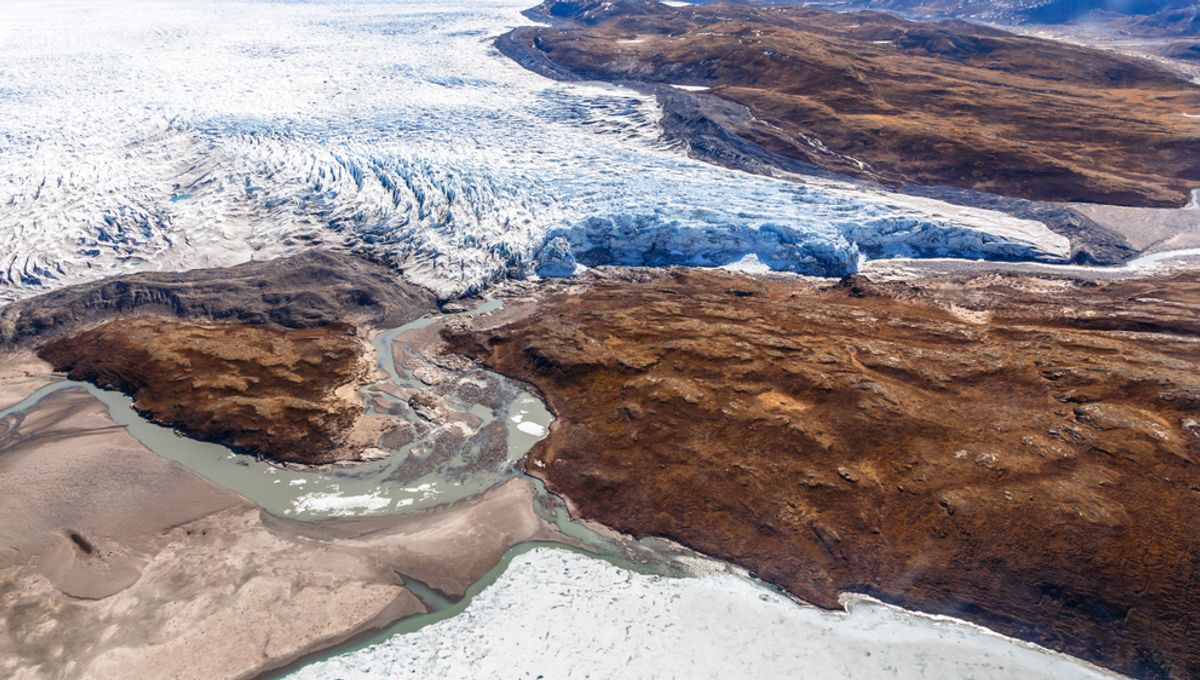 "Unearthing Greenland's Ancient Soil: A Dire Warning for the Future"