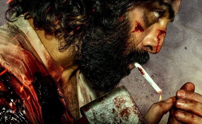 Featured image for "Animal Roars at the Box Office, Surpassing Expectations and Breaking Records"