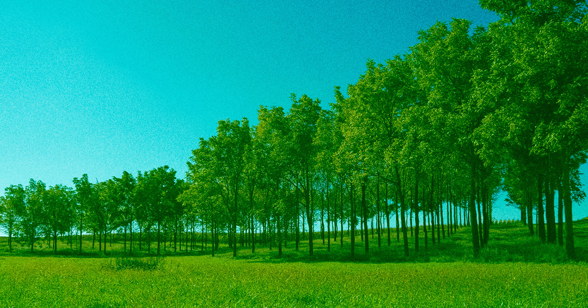 Featured image for From Advocate to Opponent: The Tree-Planting Evangelist's Change of Heart