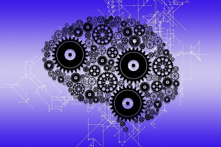 "Enzymes and Supplements: The Keys to Unlocking Longevity and Health"