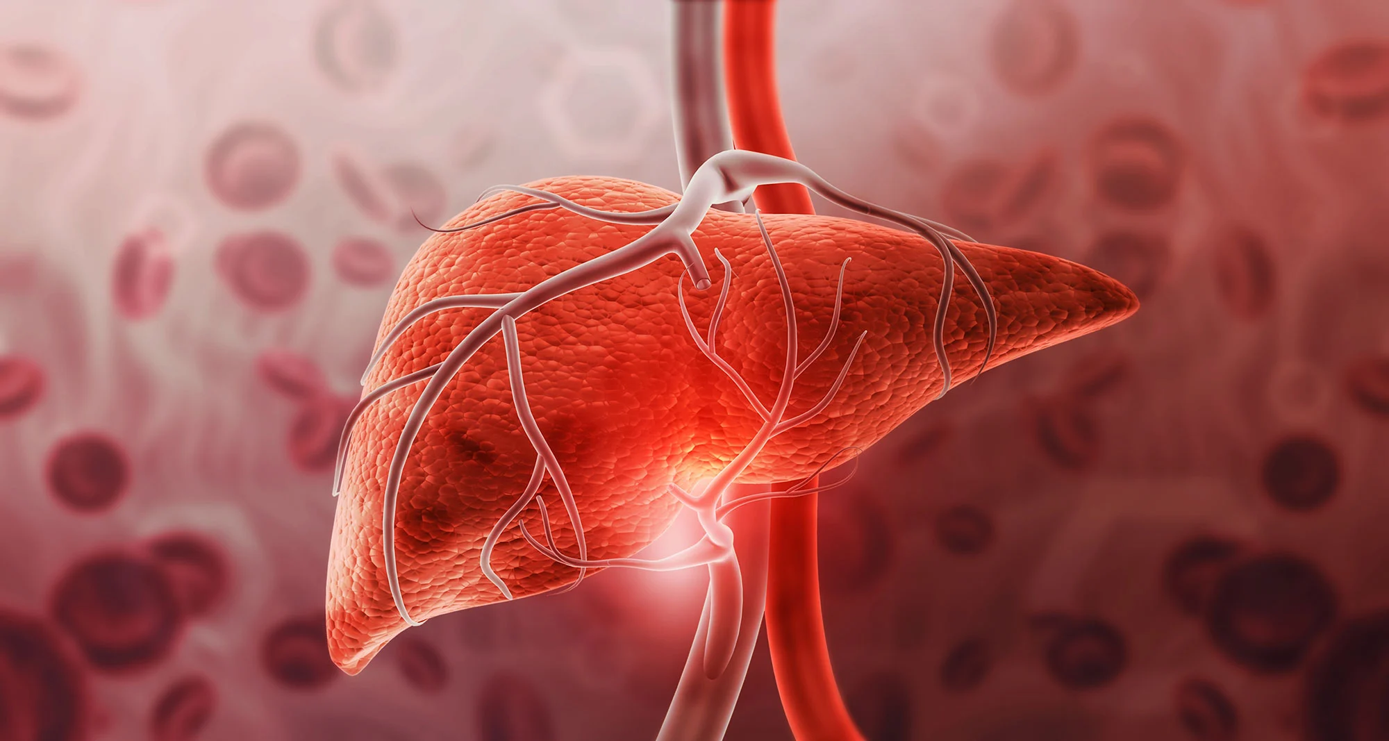 Featured image for New Test Predicts Liver Disease Risk Up to 10 Years Ahead