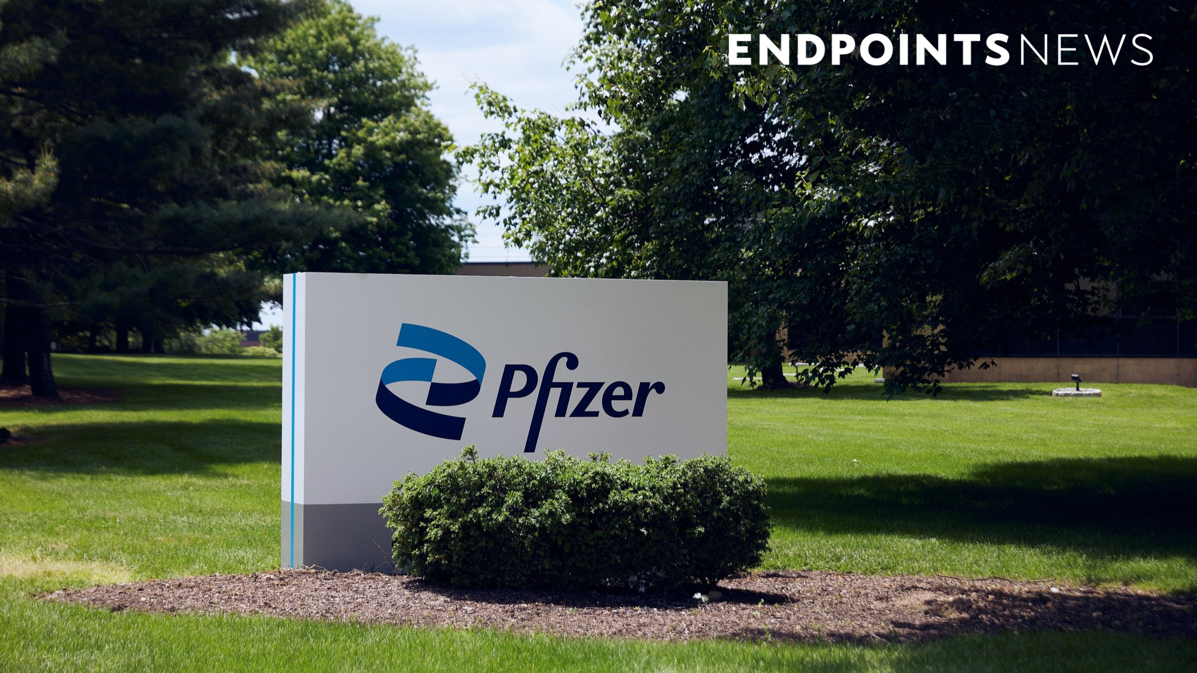 FDA approves Pfizer's Litfulo as breakthrough treatment for severe alopecia in adolescents.