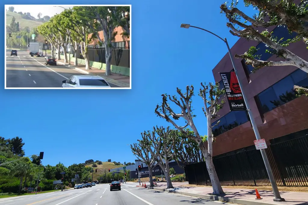 "Universal Studios Fined $250 for Endangering Writers and Actors with Tree Trimming"