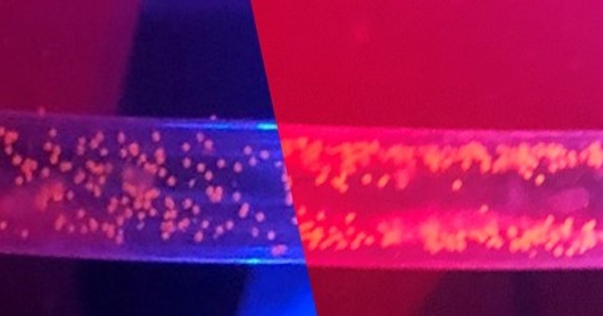 Ultrasound Waves Offer Hope for Microplastic-Free Water.