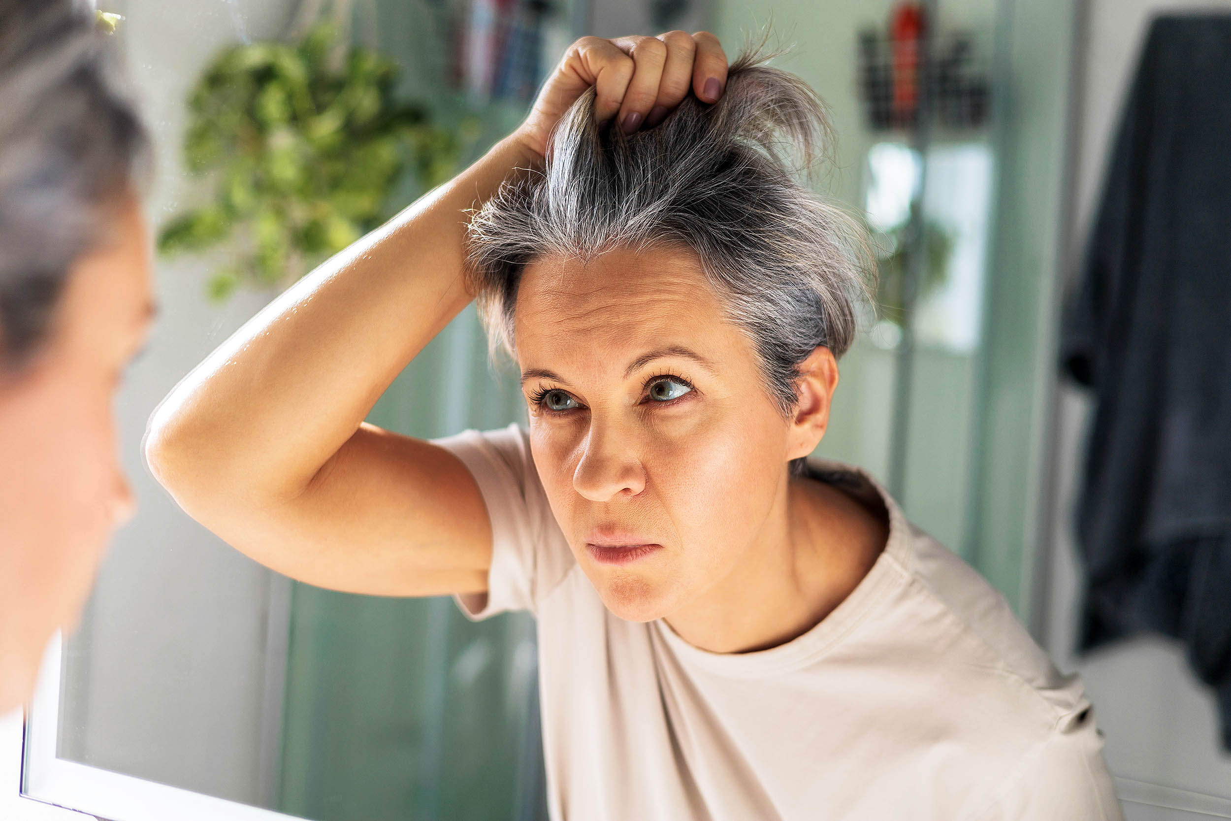 Featured image for Breakthrough Study Suggests Gray Hair Could Be Permanently Reversed