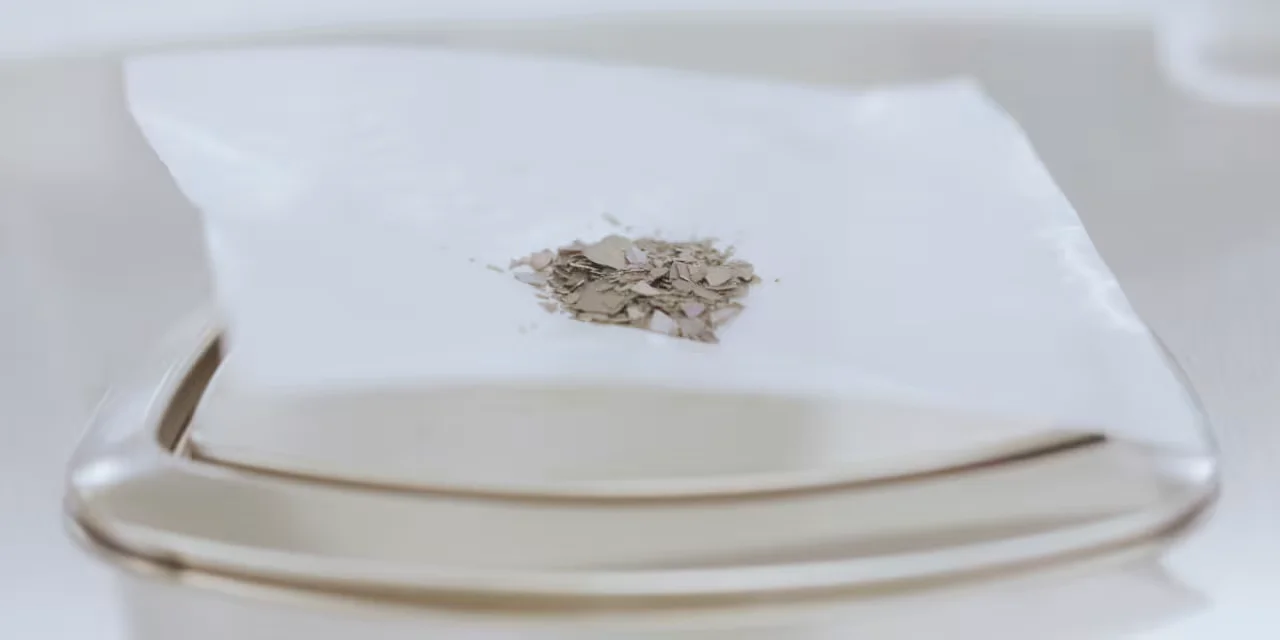 US Rare Earth Stock Rises on Federal Financing, Lifting Price Targets