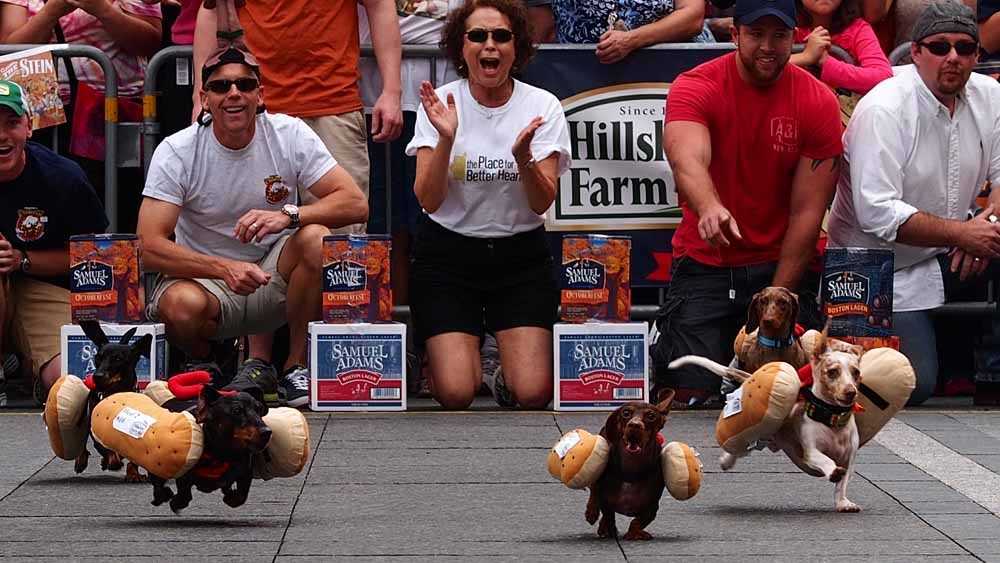 "Wiener Dog Races and Oktoberfest Return to the Upper East Side"