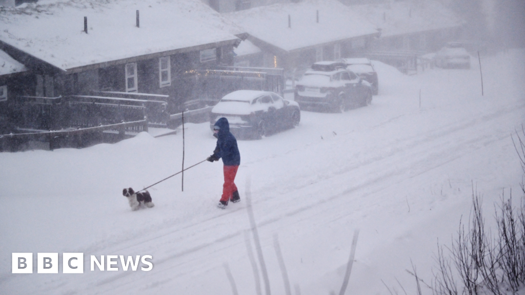 Featured image for Storm Johannes Causes Deaths and Disruptions Across Nordic Countries