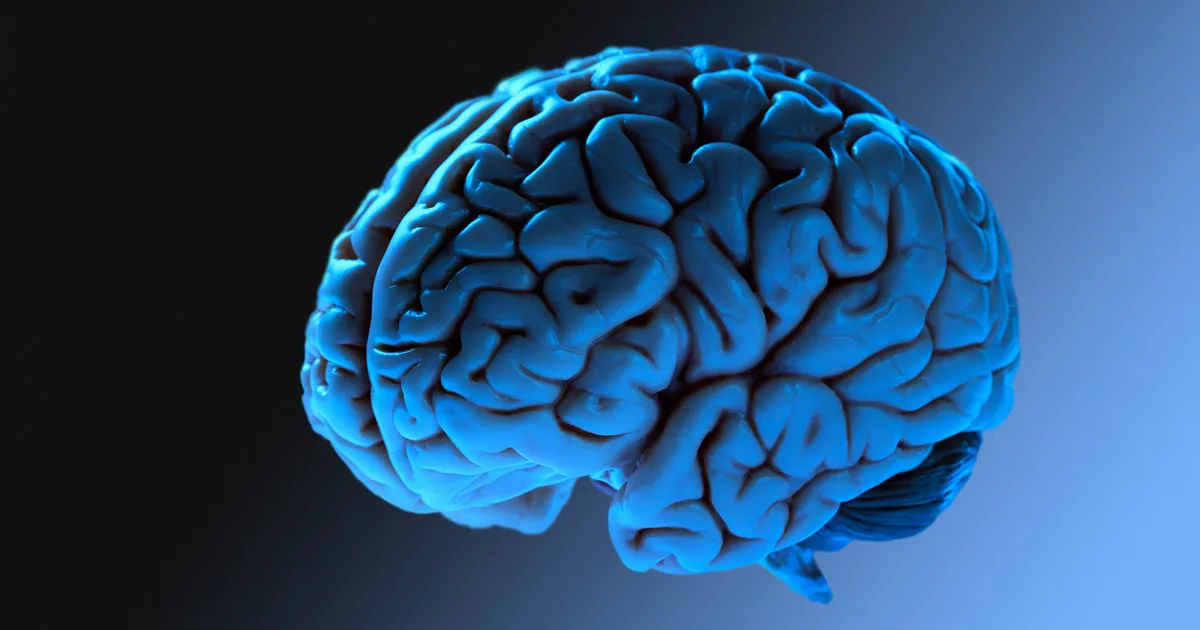 Featured image for New Research Identifies Key Brain Development Stages Throughout Life