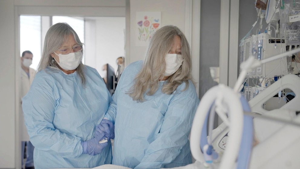 Record-Breaking Pig Kidney Transplant Raises Hope for Animal-Human Transplants