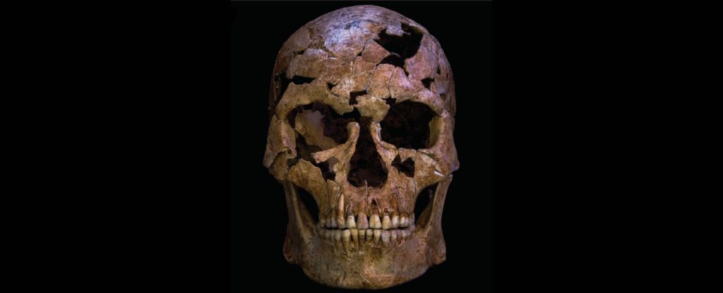 Featured image for Ancient 12,000-Year-Old Bones Suggest Early Murder