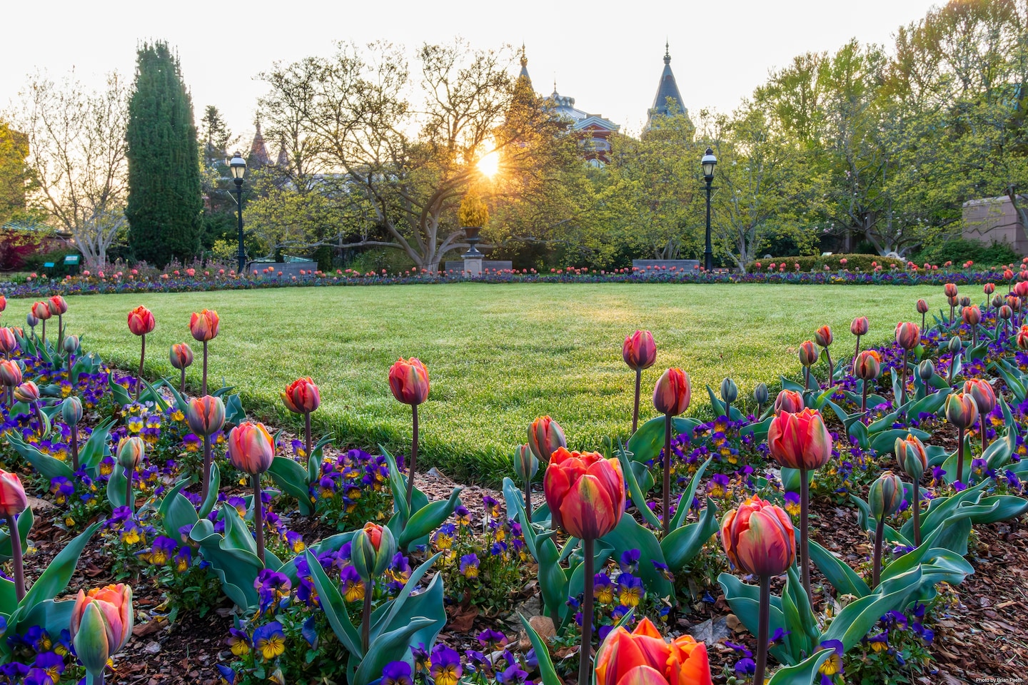 Featured image for Mixed Easter Weekend Weather: Pleasant Sunday, Showers and Snow Ahead