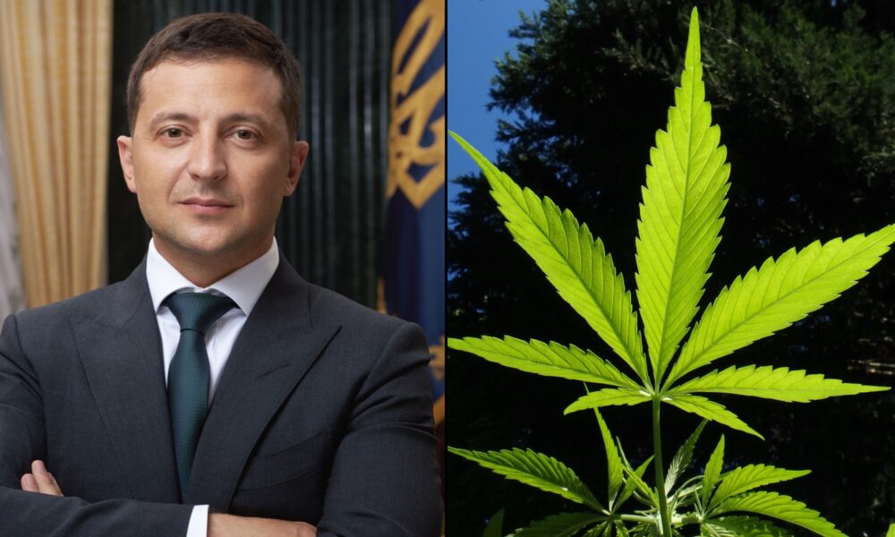 Featured image for "Ukraine's Zelensky Legalizes Medical Cannabis for Pain Relief and PTSD"