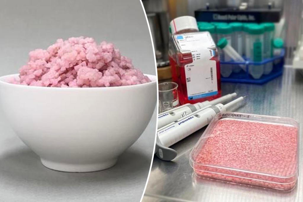 Featured image for "Lab-Grown Beef-Infused Rice: The New Frontier in Sustainable Protein"