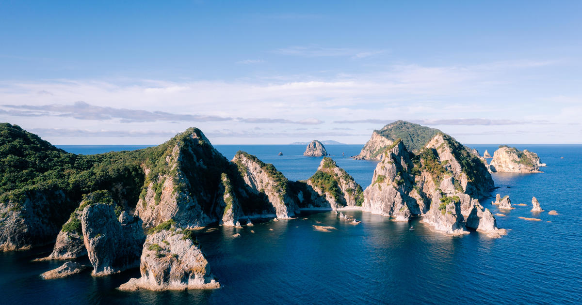 Featured image for "Fisherman's Watch Leads to 'Miracle' Rescue and Shark Encounter Survival After 24 Hours at Sea"