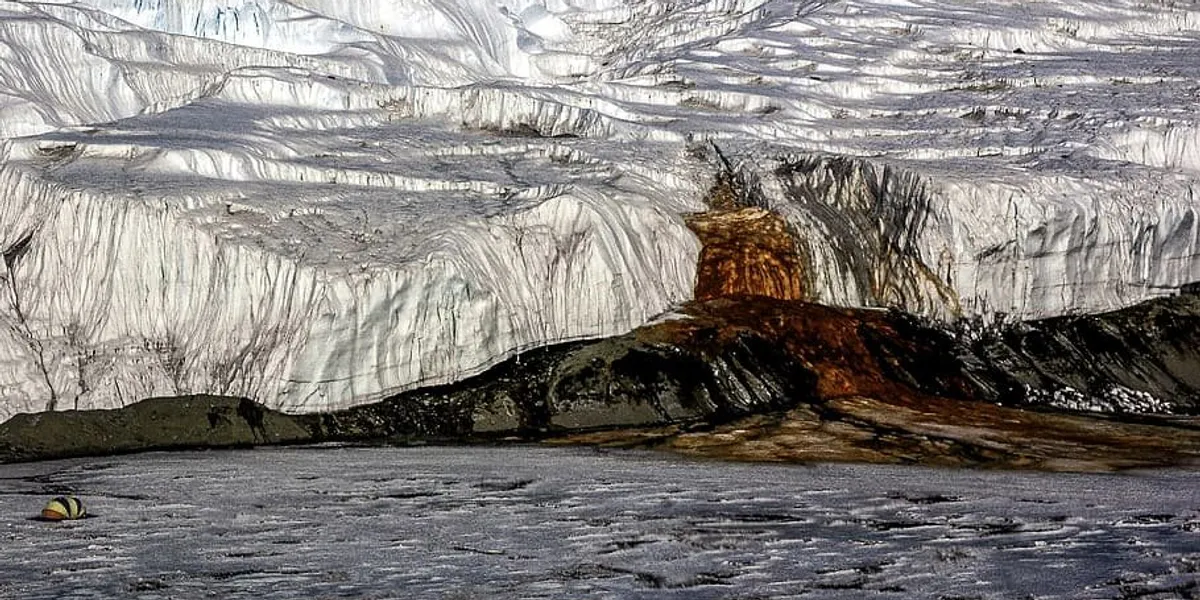 Featured image for Antarctica's 'bleeding waterfalls' mystery solved by scientists.