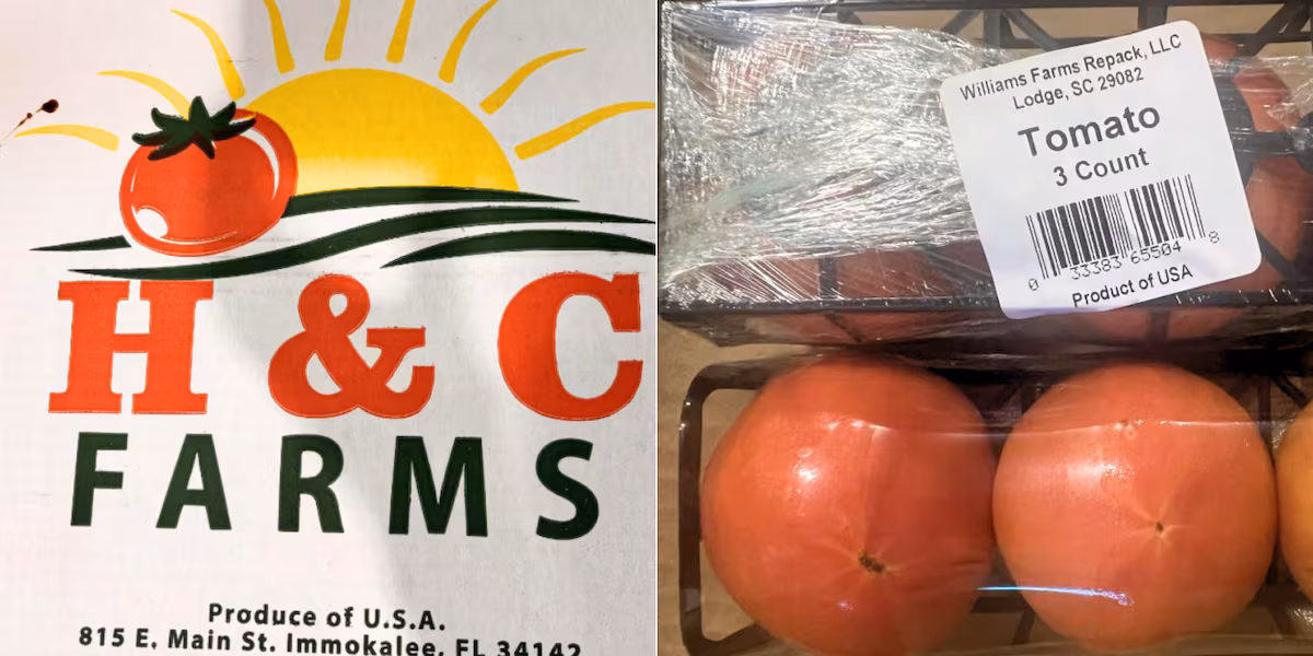 FDA Issues Urgent Recall of Tomatoes in Southern States Due to Salmonella Risk