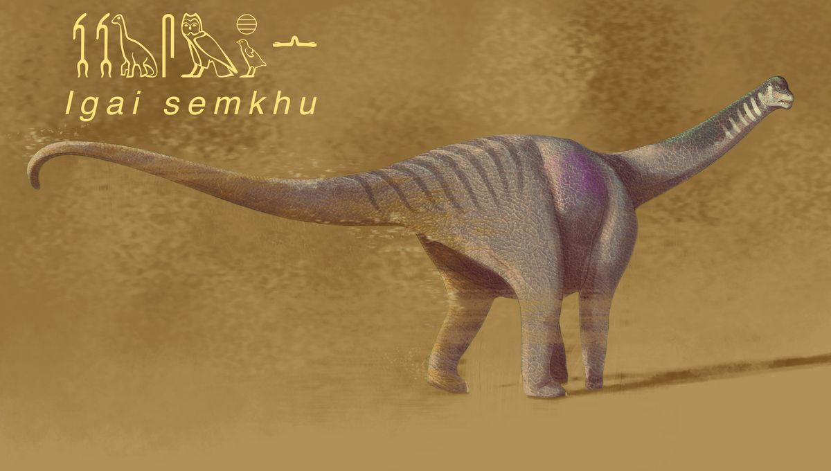 "Forgotten Lord of the Oasis: 75-Million-Year-Old Titanosaur Fossils Fill Dino History Gaps"