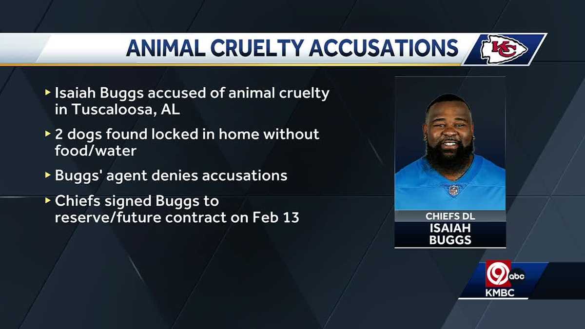Featured image for Chiefs' Isaiah Buggs Faces Animal Cruelty Charges for Abandoning Dogs