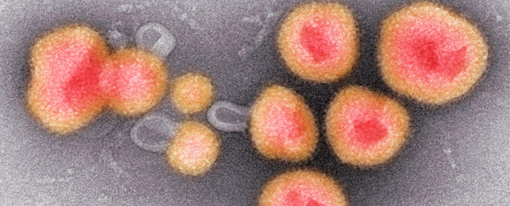 "Discovery of Thousands of New Viruses in Microbes and Baby Diapers"