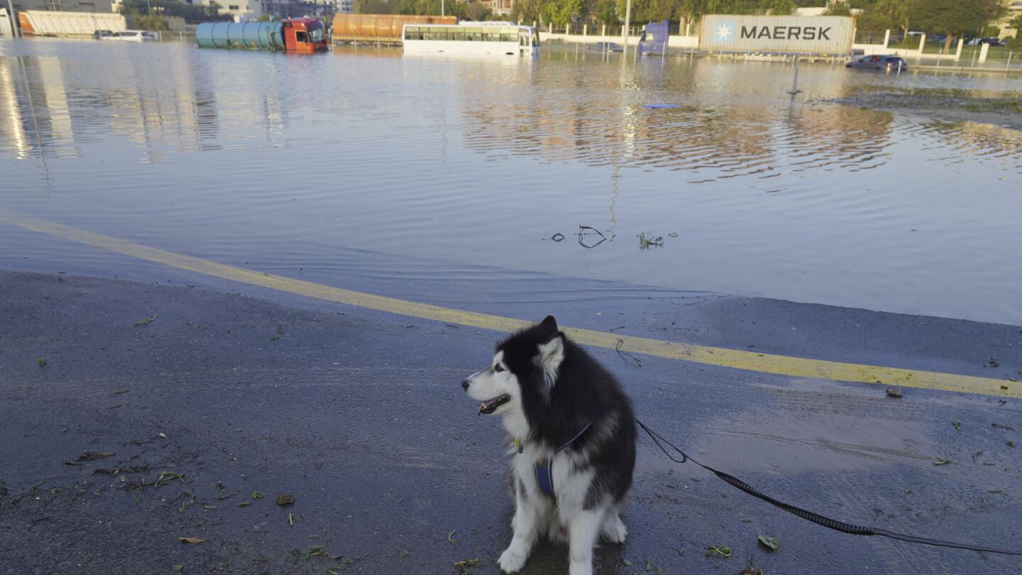 Featured image for "UAE's Recovery Efforts Amid Dubai Airport Delays and Record Flooding"