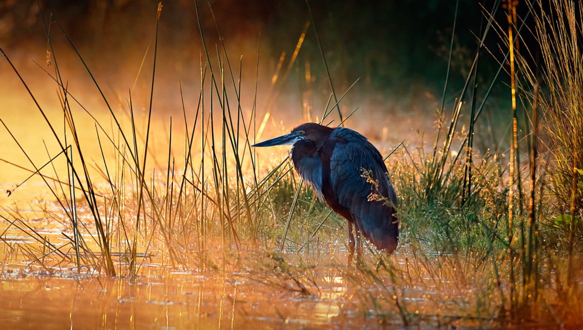 "Rising Methane Levels Indicate Impending Ice Age Conclusion"