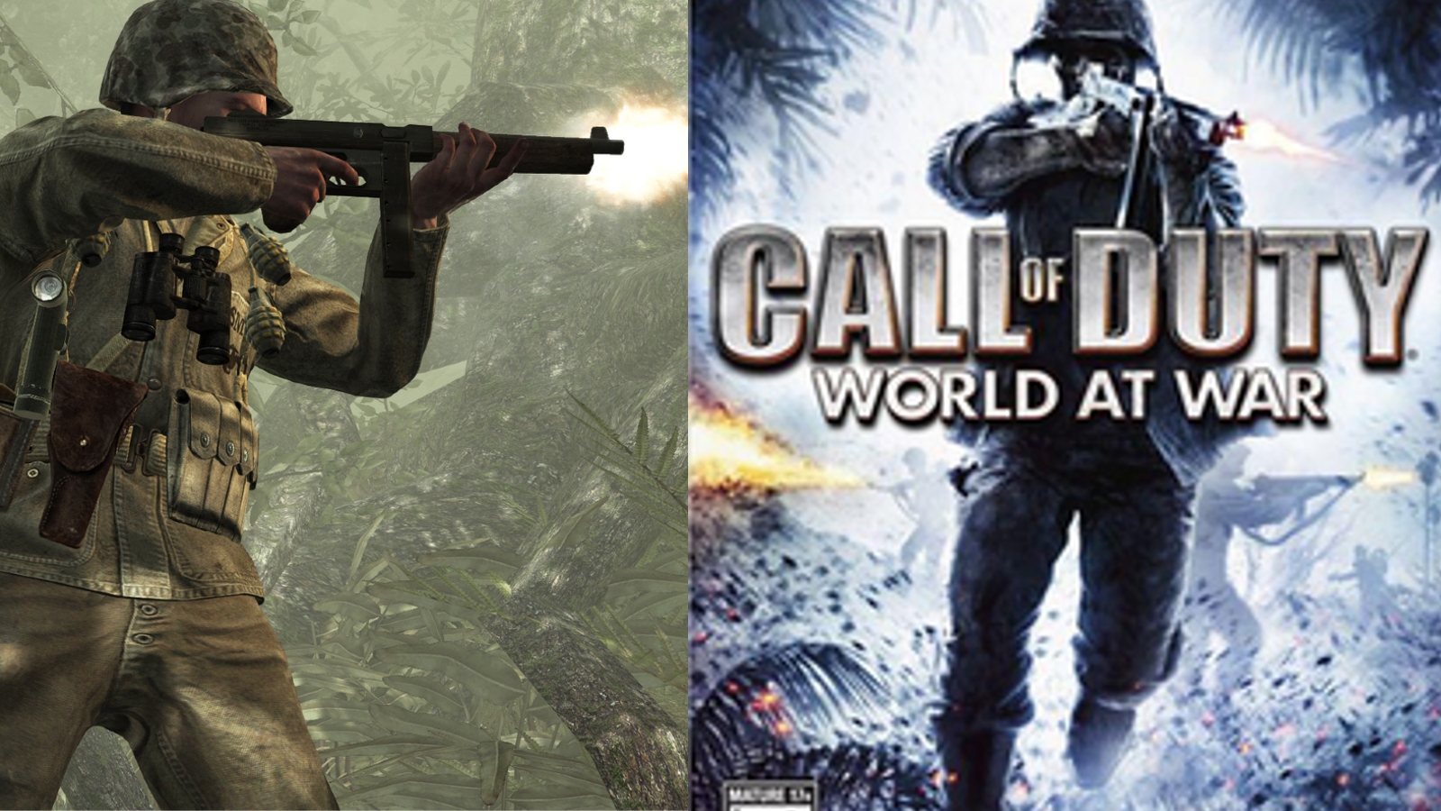 "Call of Duty Fans Rally for Long-Awaited Game Remaster"