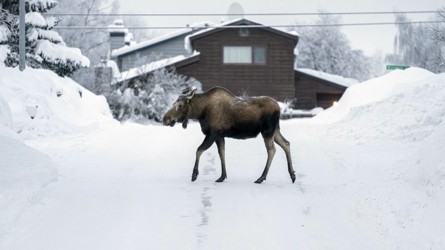 Alaska's Extreme Cold Causes Fuel Oil Thickening and Roof Collapses