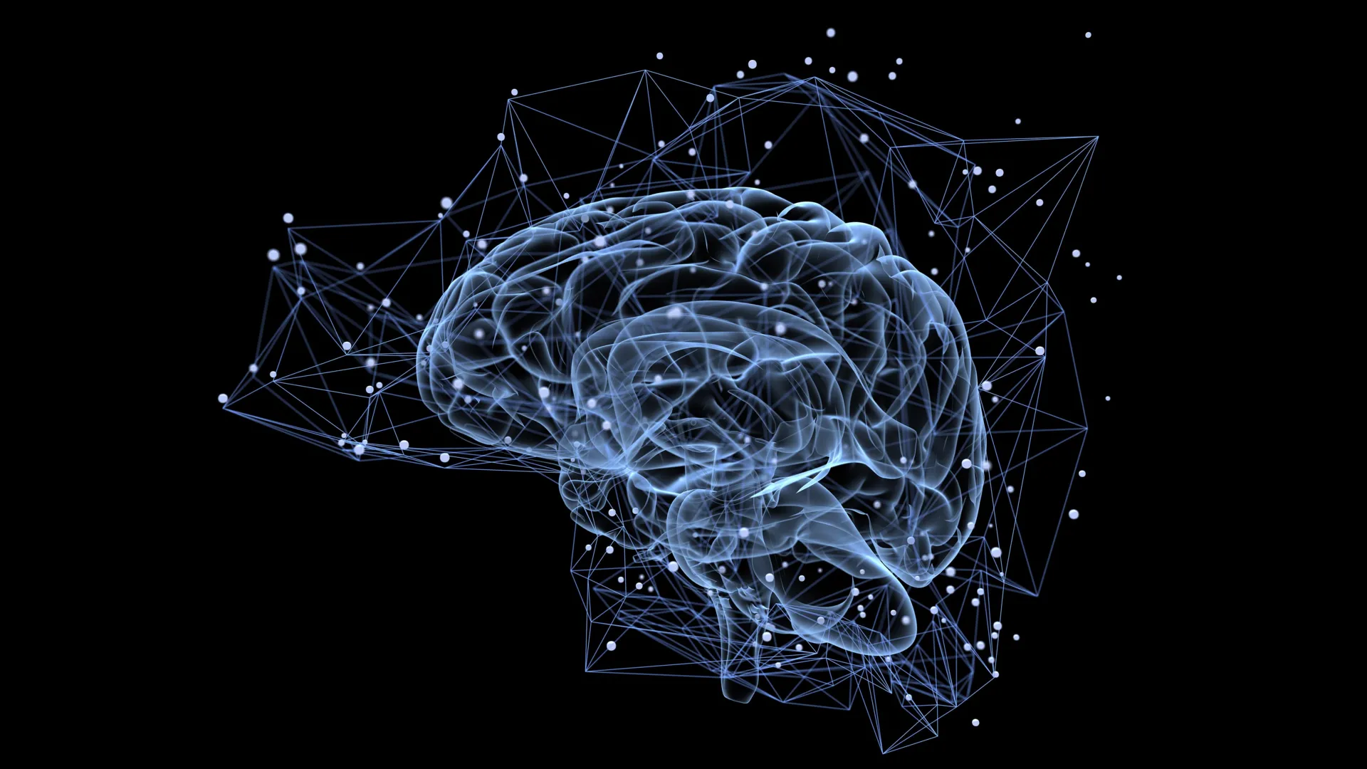 Featured image for Prefrontal Cortex Shapes Vision and Behavior Through Hidden Brain Circuits