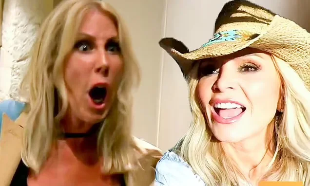 RHOC Season 17 Trailer Teases Explosive Drama with Tamra, Vicki, and Shannon