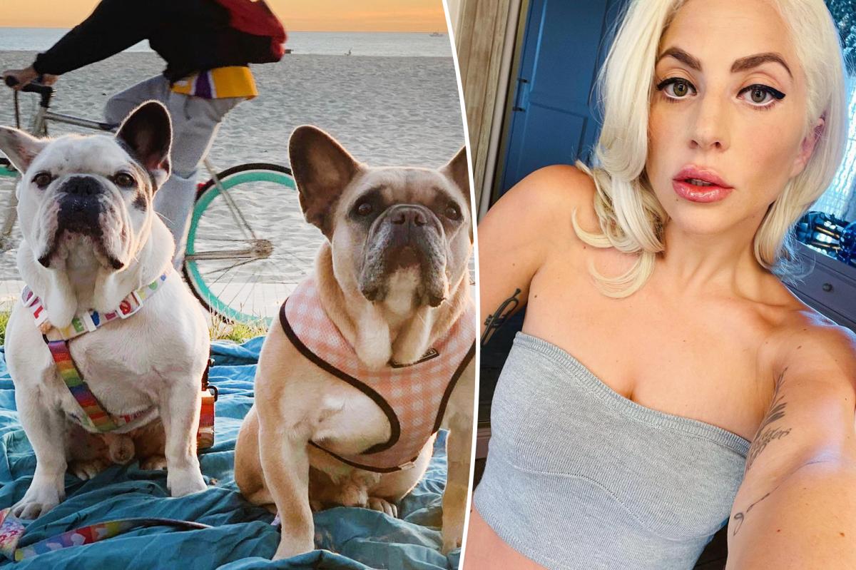Featured image for Lady Gaga's $500K Dog Reward Lawsuit Dismissed