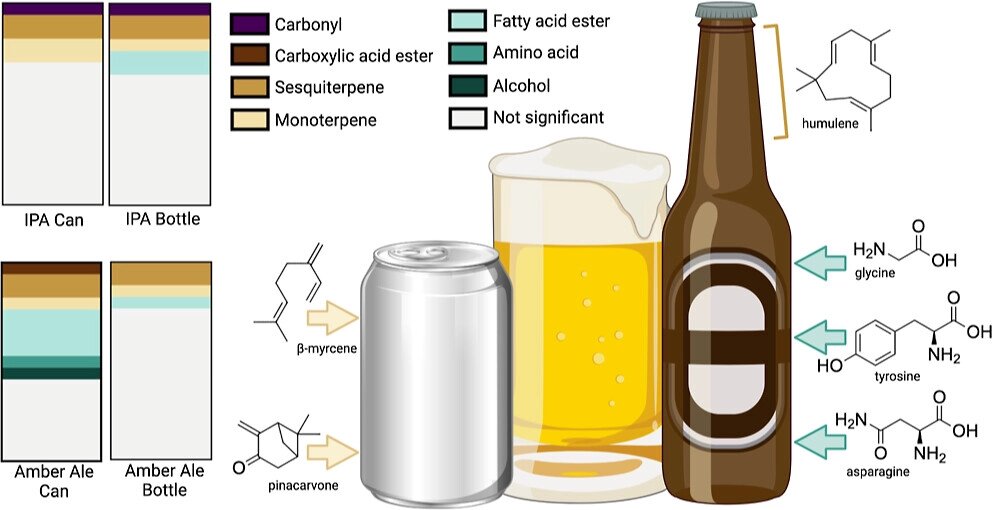 Featured image for Cans vs Bottles: Which is the Best Container for Beer?