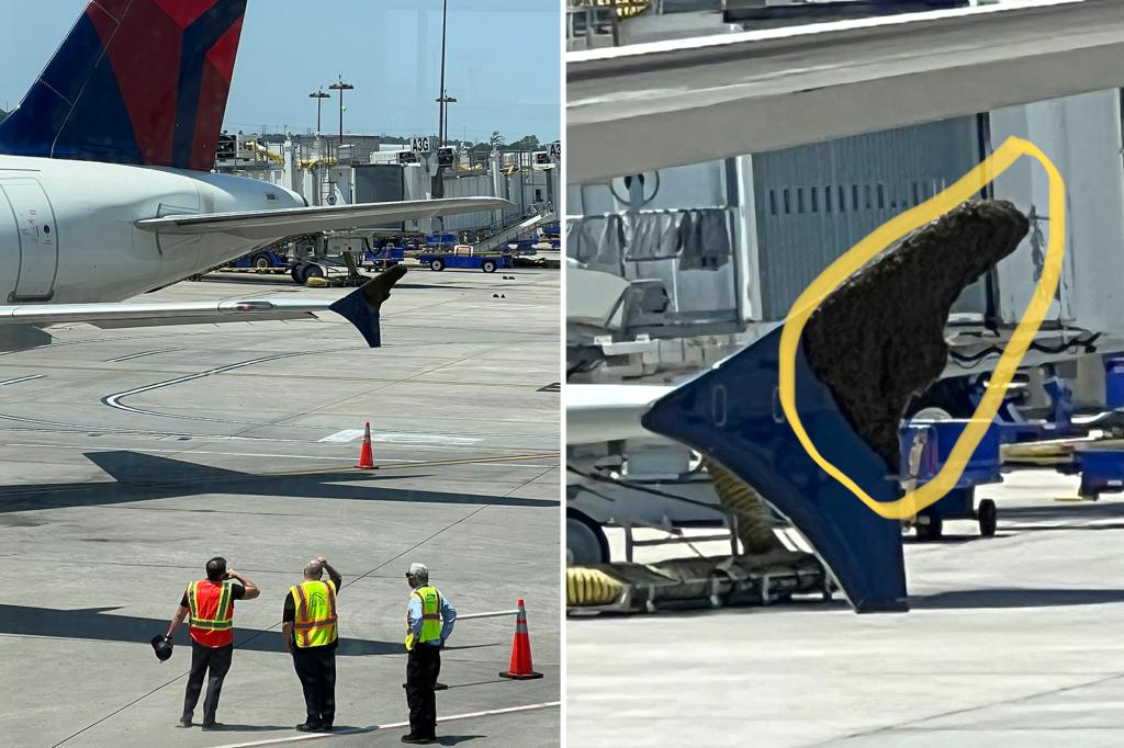 Delta flight delayed for hours due to swarm of bees on wing at Houston airport.