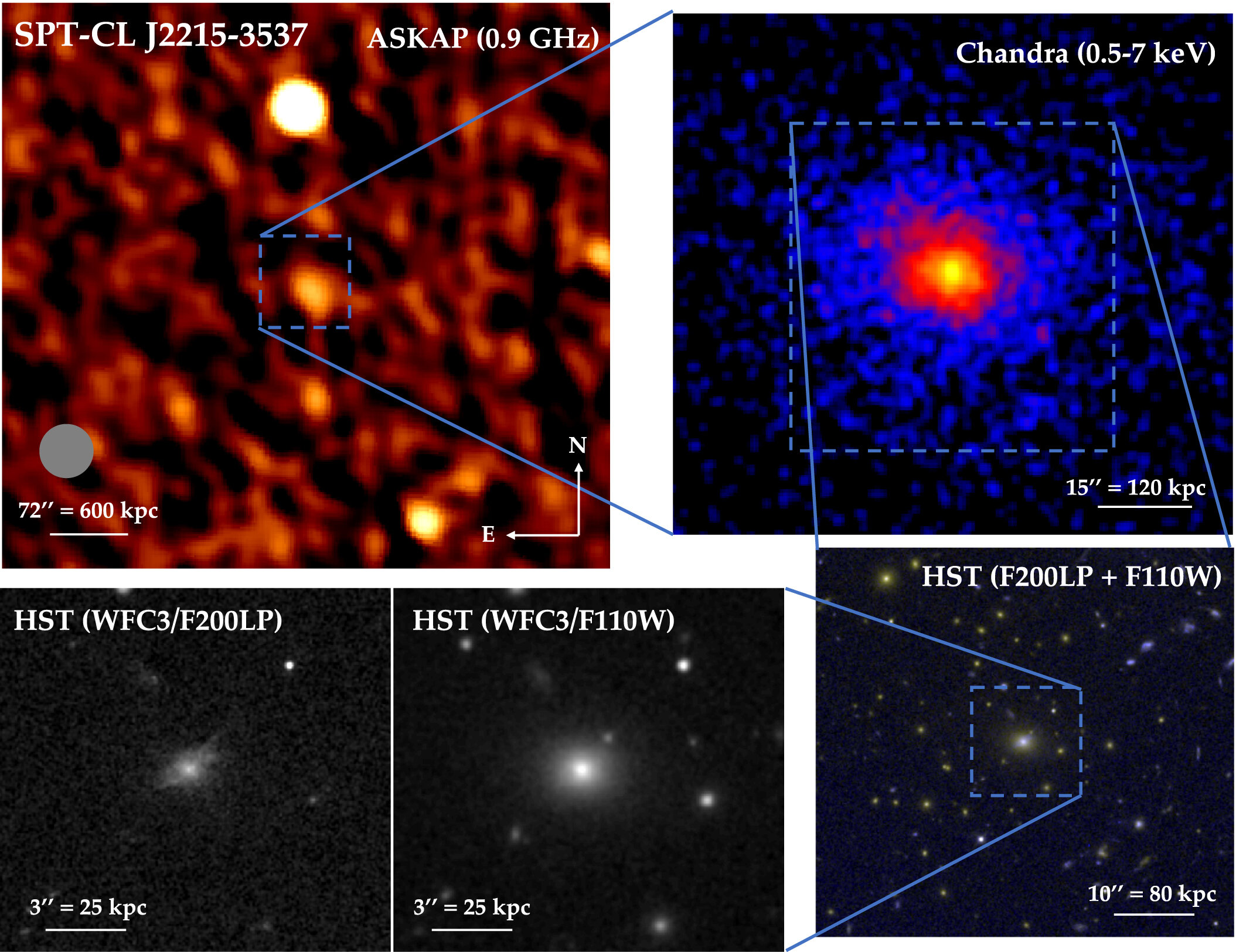 Surprising Serenity: Remote Galaxy Cluster Found in Unexpected Tranquility